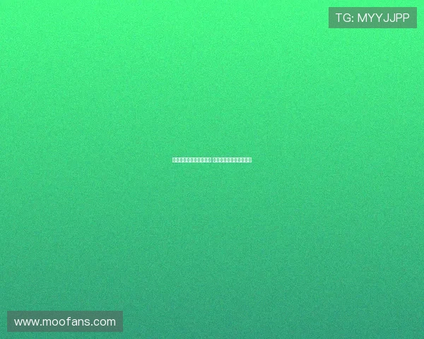 德甲球员身价涨跌榜解析 揭示市场变化与潜力新星