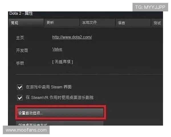 DOTA2国服启动项该怎么设置? DOTA2国服启动项该怎么设置?